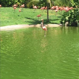 Meet your Posher, Martha